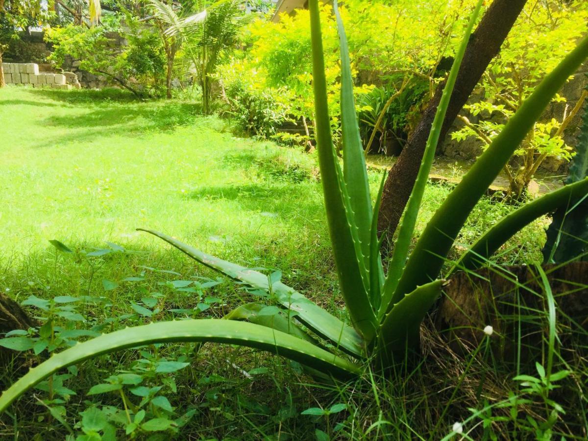 Ganesh House Ayurveda Homestay Ковалам Экстерьер фото